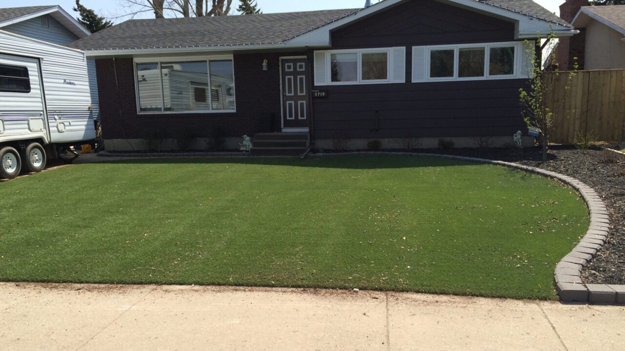 Turf doctor turf doctor